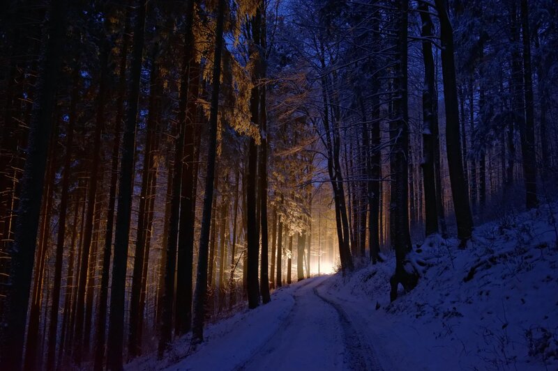 Snowy Forest Path — Blue, Serene, Night