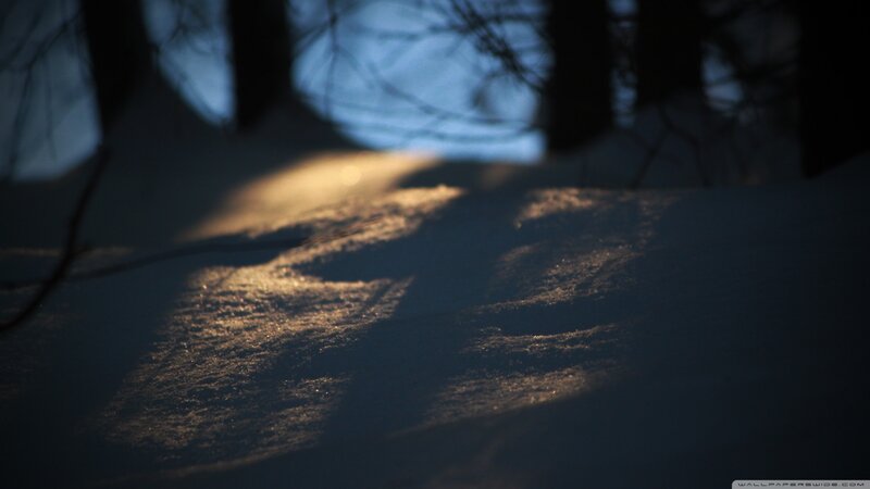 Snowy Forest Path — Blue, Serene