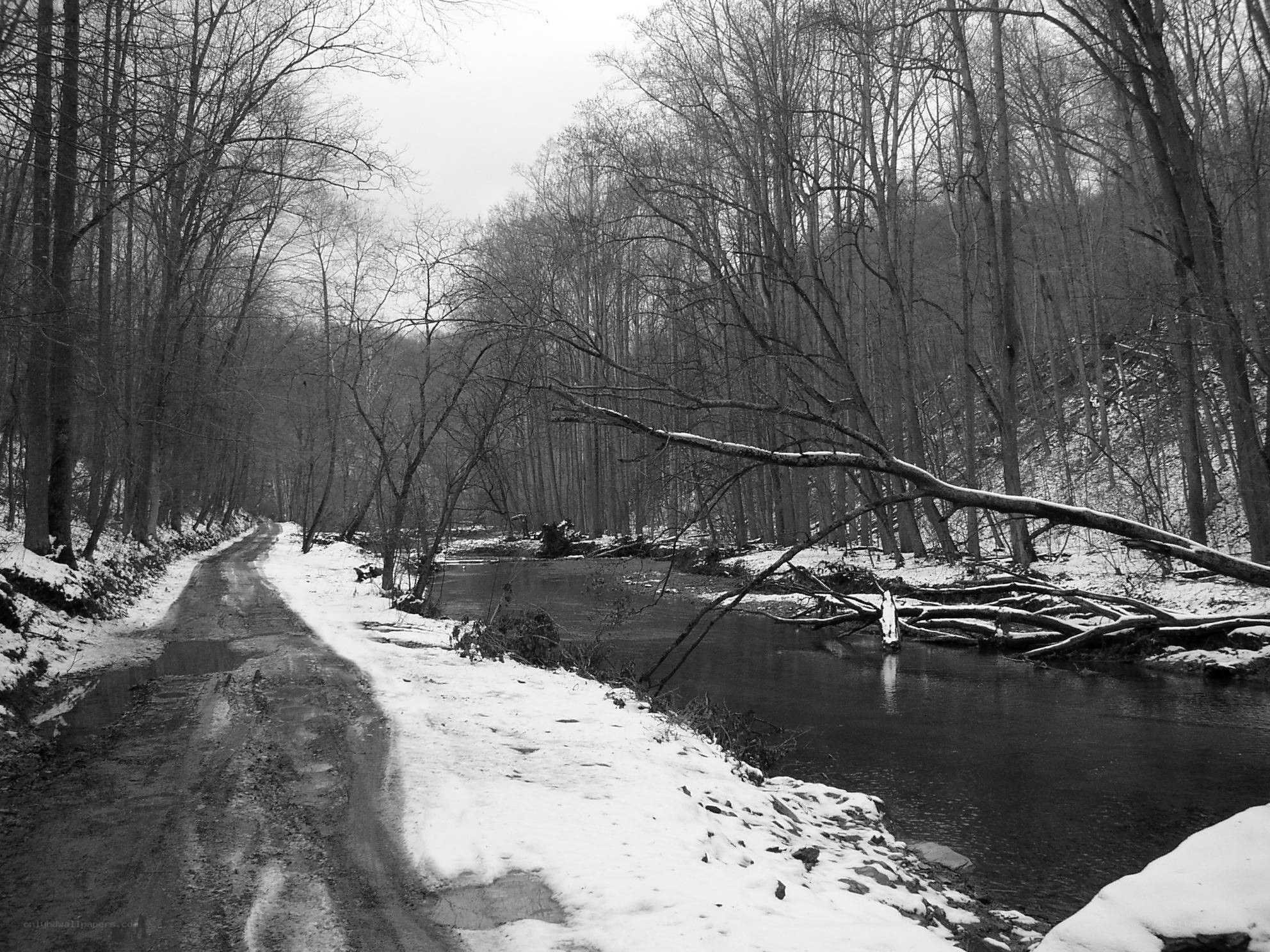 Snowy forest path by a river