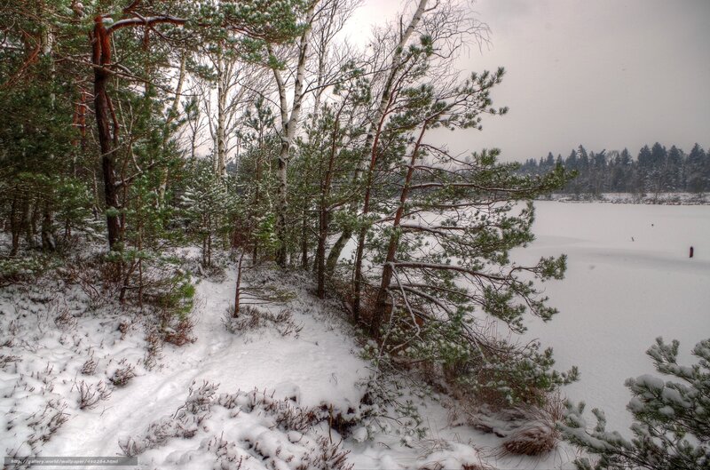 Snowy forest path by lake