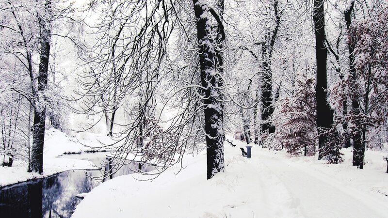 Snowy forest path by river