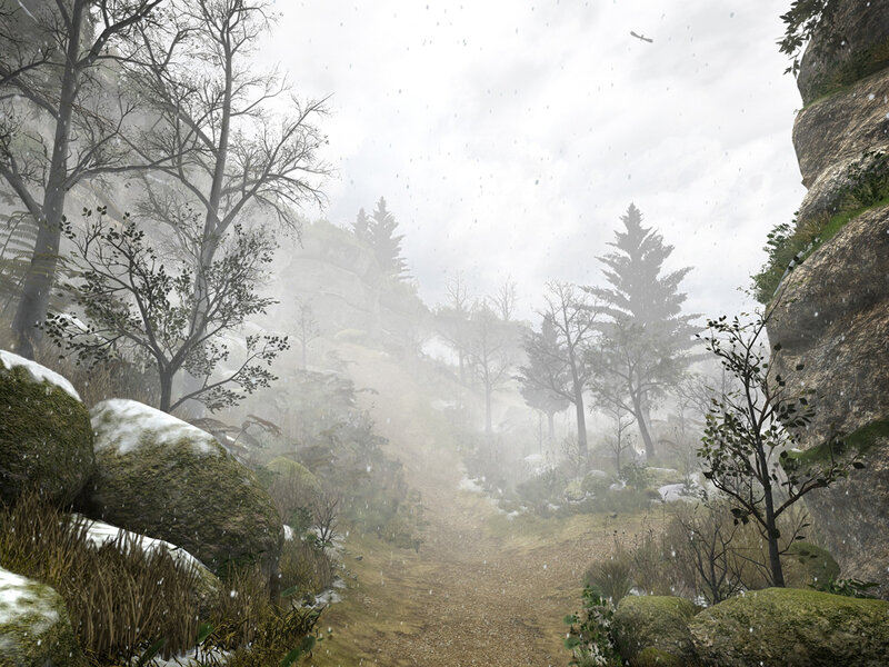 Snowy Forest Path — Gray, Misty