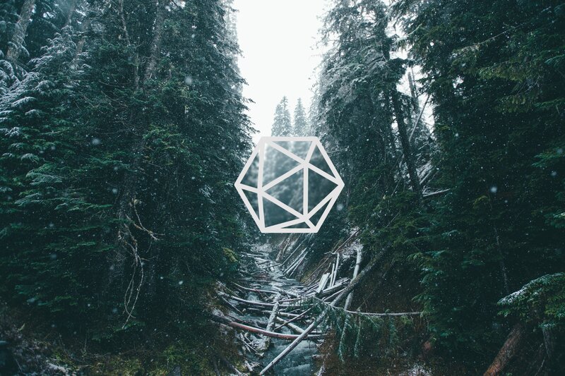 Snowy Forest Path — Green, Cold