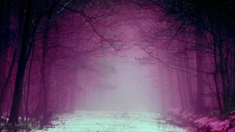 Snowy Forest Path — Purple