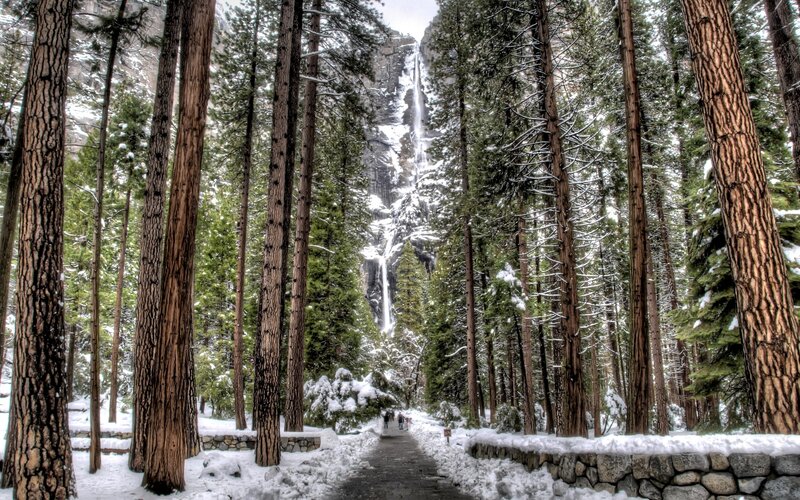 Snowy forest path to waterfall