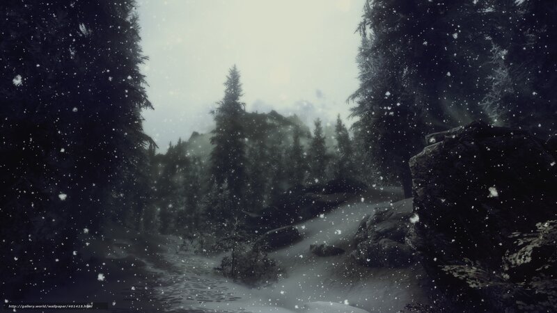 Snowy Forest Path — White, Cold, Misty, Winter
