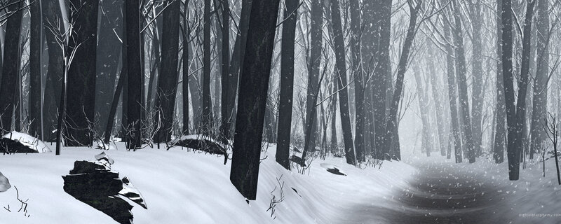 Snowy Forest Path — White, Cold