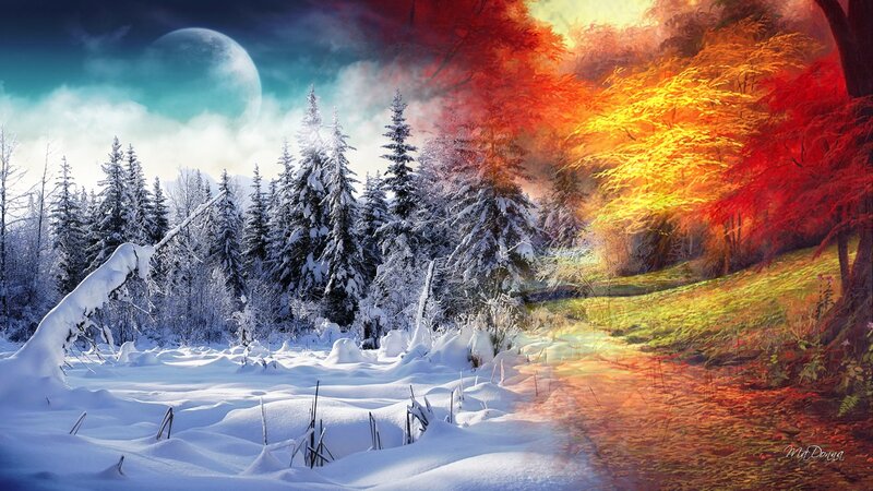 Snowy Forest Path — White, Dramatic