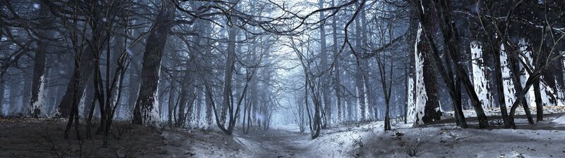 Snowy Forest Path — White, Dreary