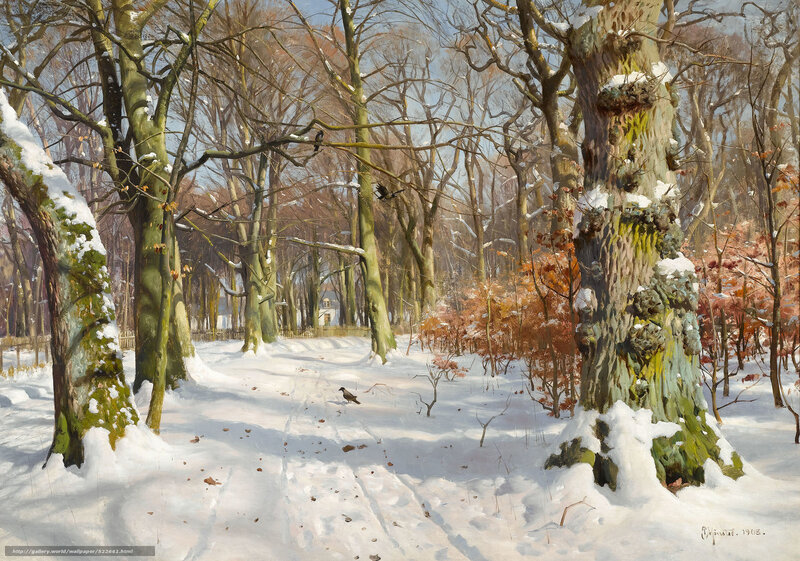 Snowy Forest Path — White, Serene, Winter, Painting, Trees, Birds