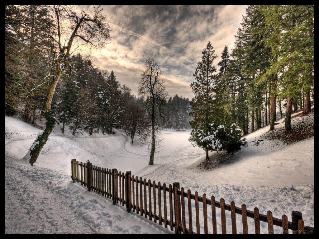 Snowy forest path with fence
