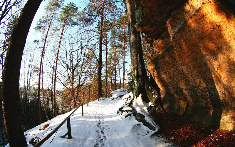 Snowy forest path with rock wall
