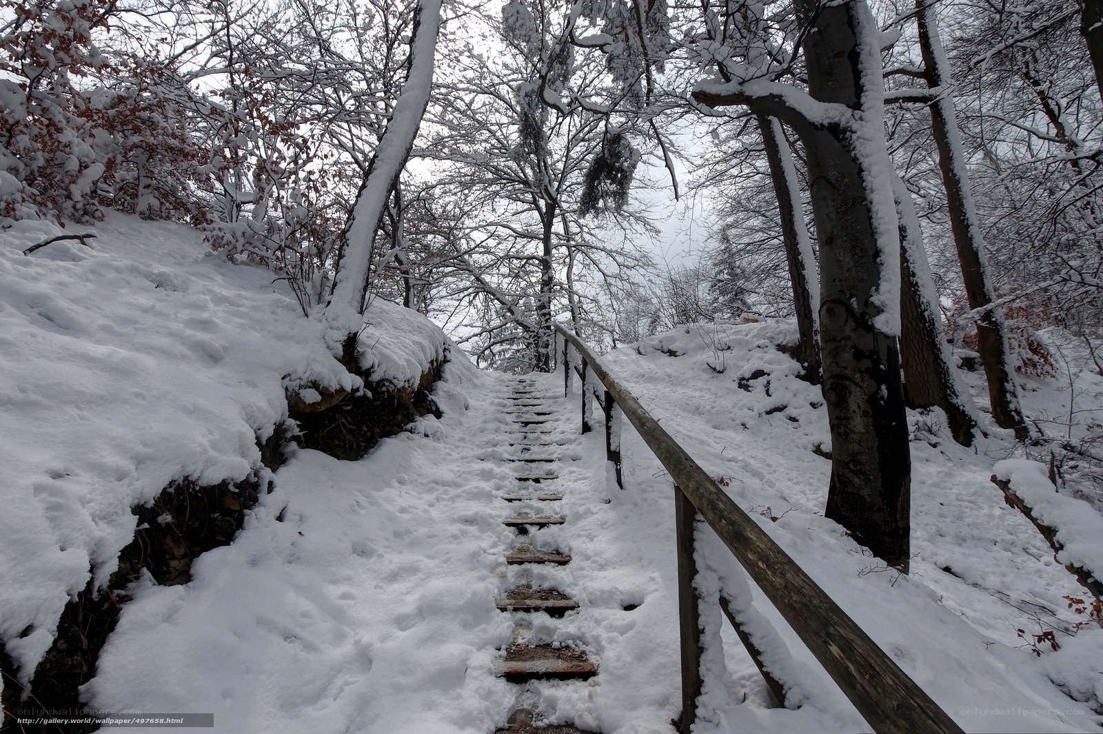 Snowy forest path with stairs