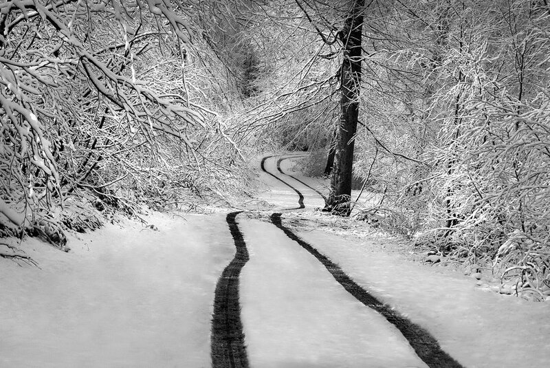 Snowy forest path with tire tracks