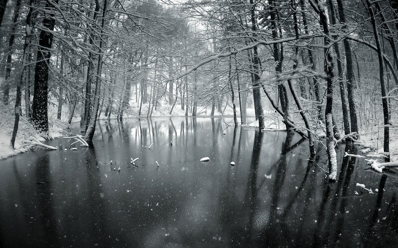 Snowy forest pond