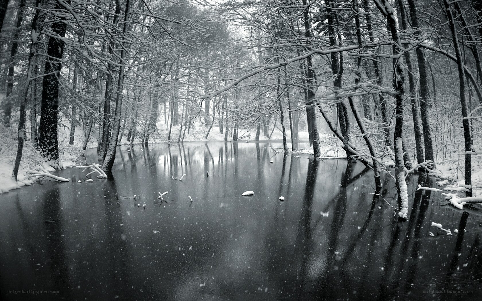 Snowy forest pond