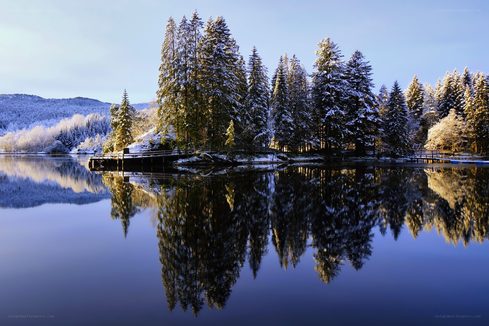 Snowy forest reflected in a lake