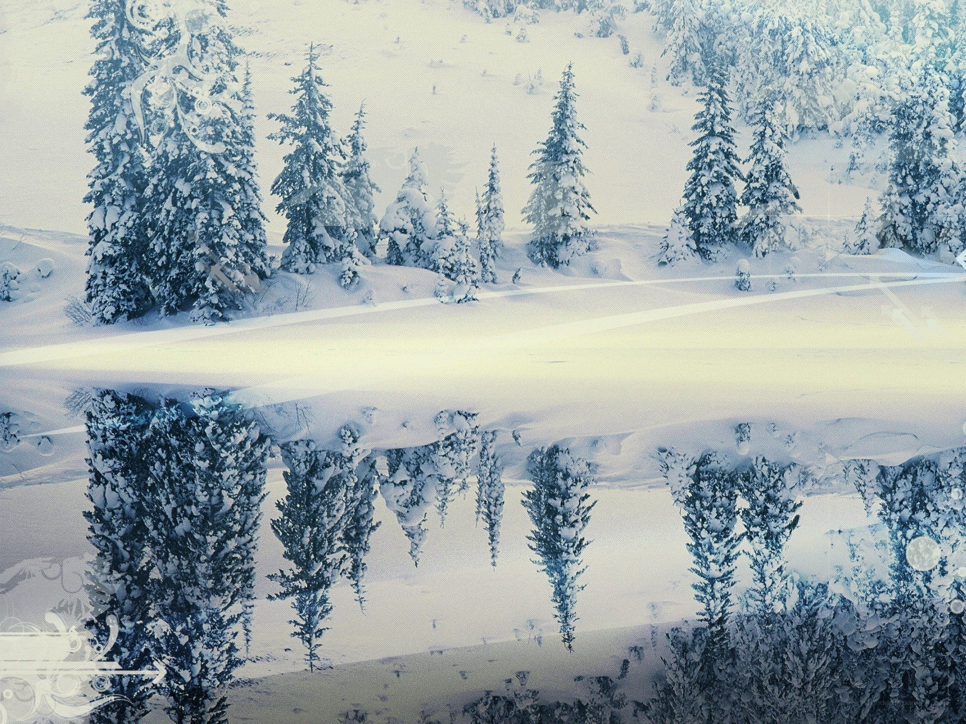 snowy forest reflection