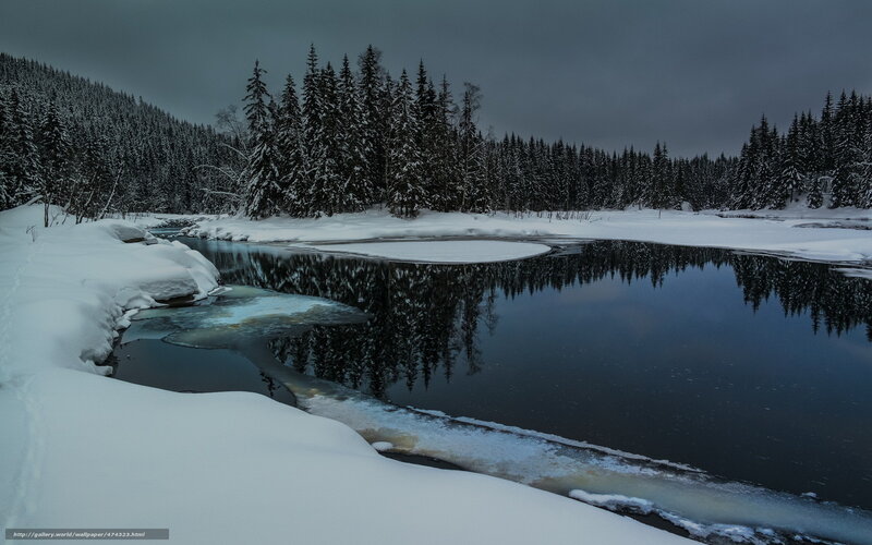 Snowy forest river at dusk