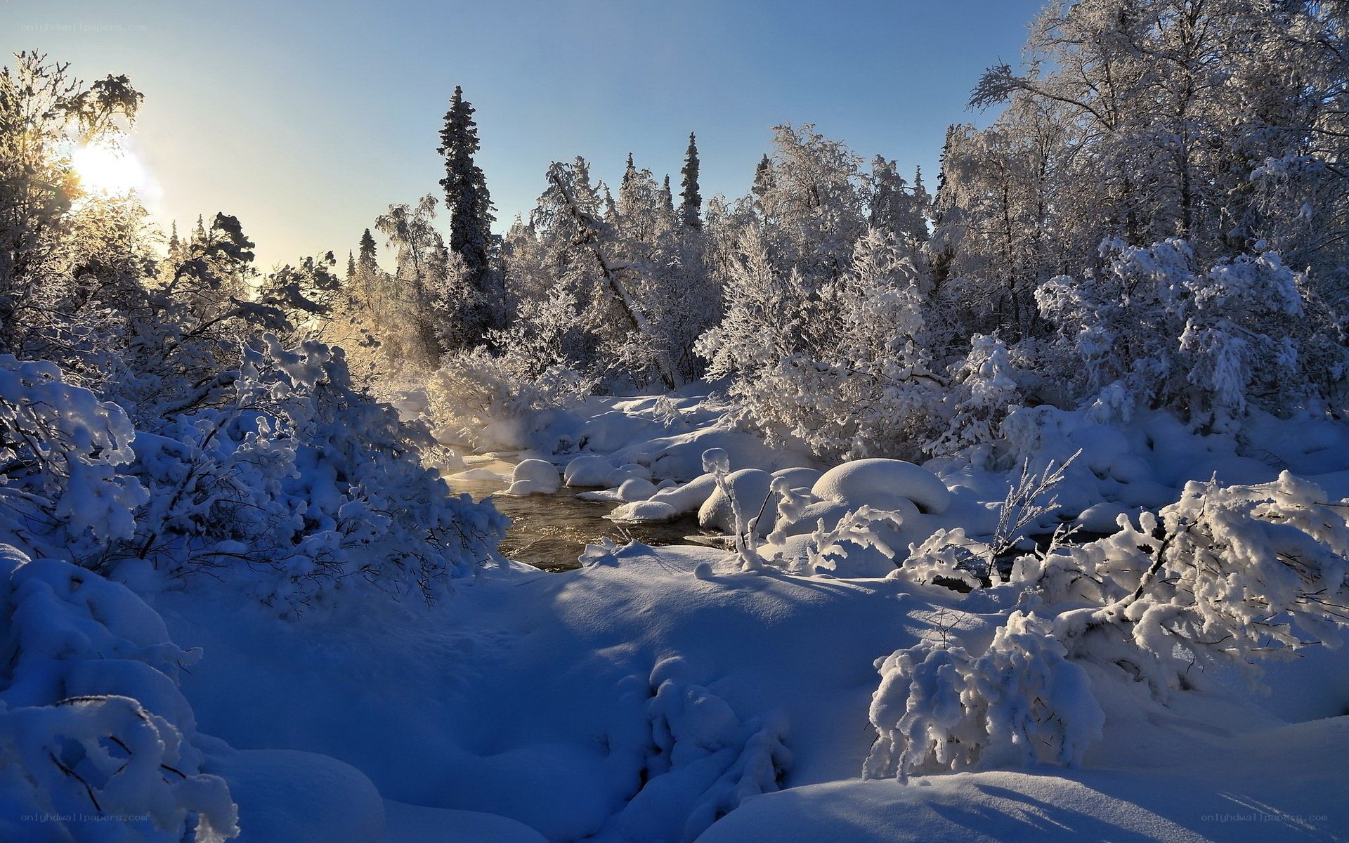Snowy forest river at sunrise