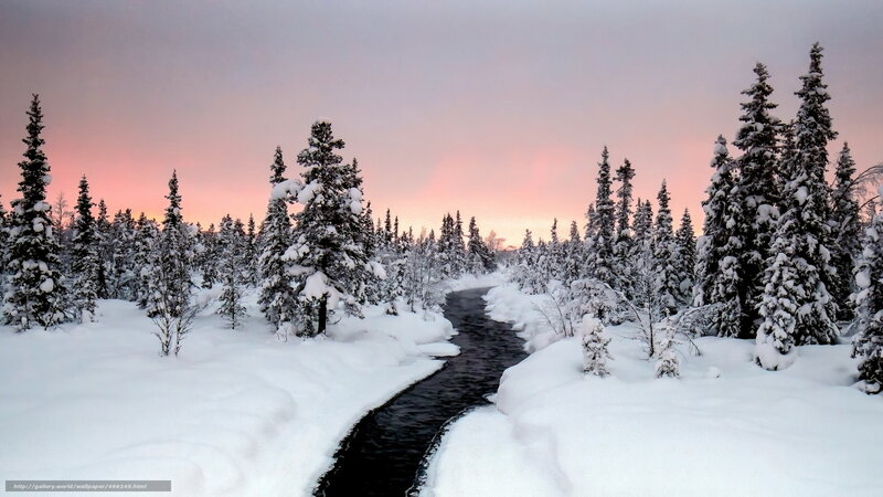 Snowy forest river at sunset
