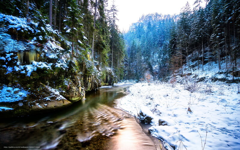 Snowy forest river canyon
