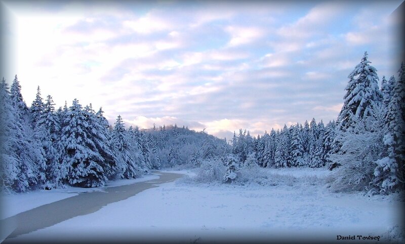 snowy forest river landscape