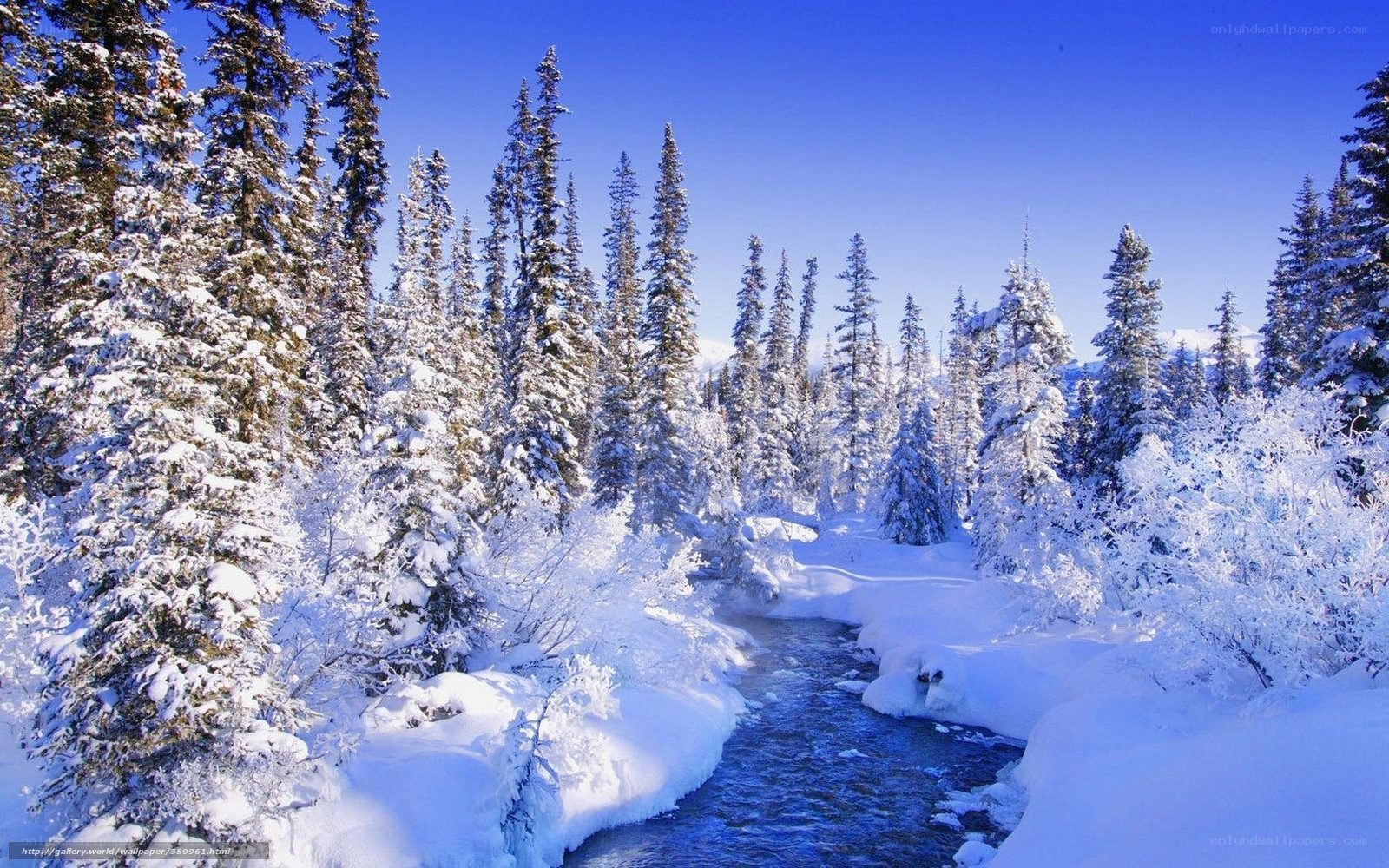 Snowy forest river landscape