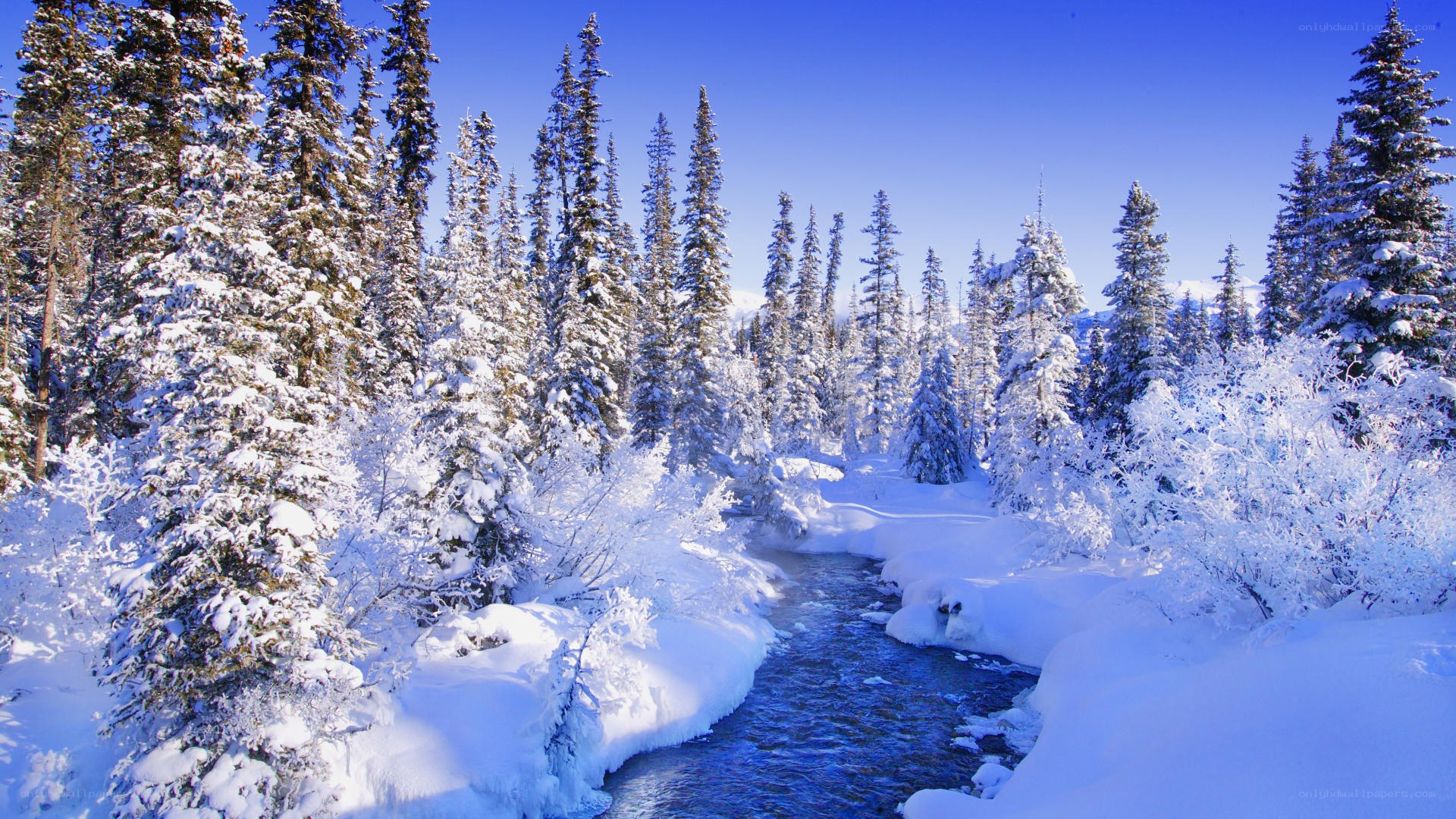 Snowy forest river landscape