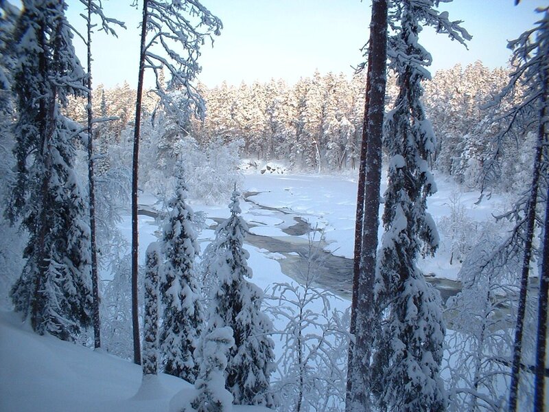 Snowy forest river landscape