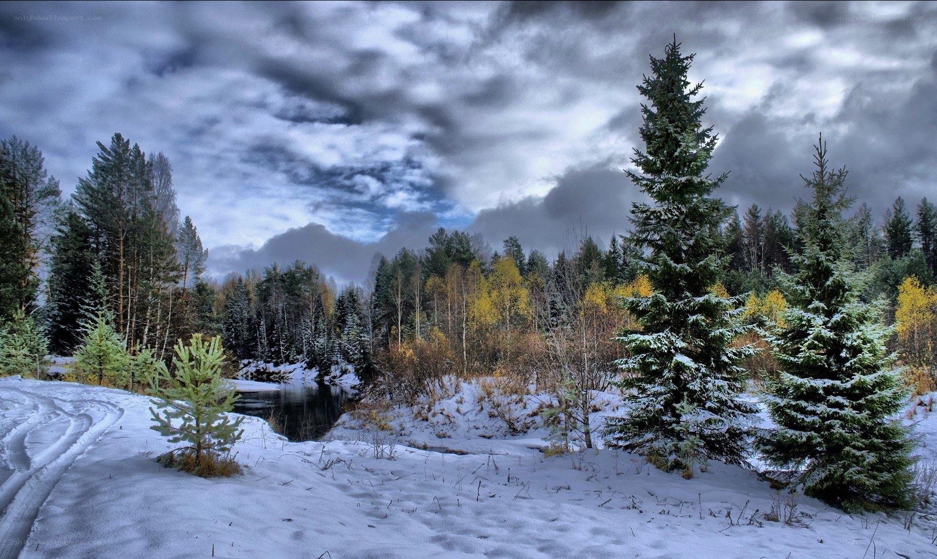 Snowy forest river landscape