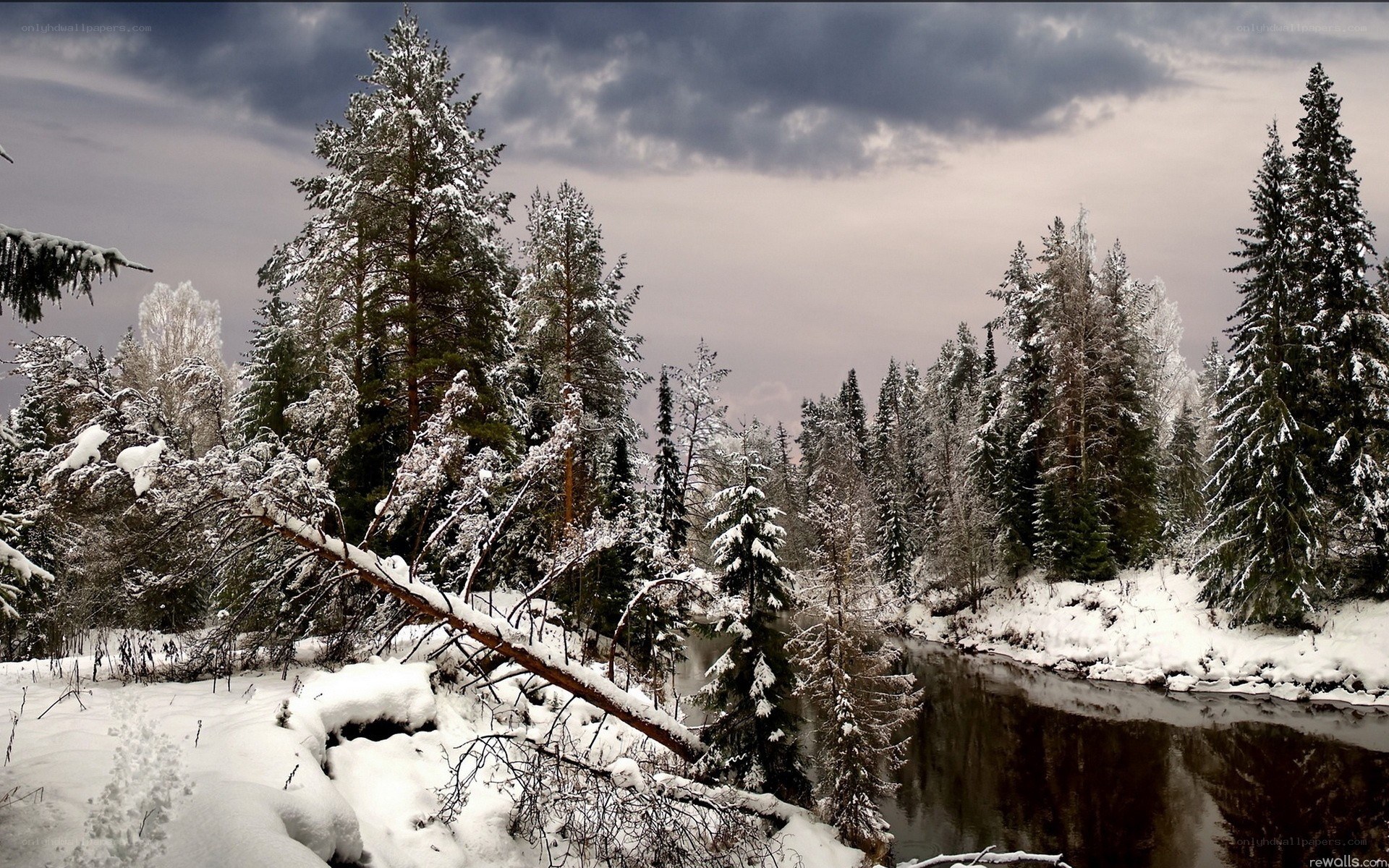 Snowy forest river landscape