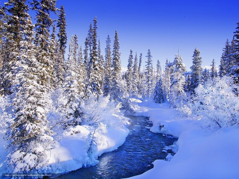 Snowy forest river landscape