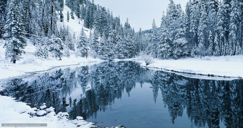 Snowy forest river reflection
