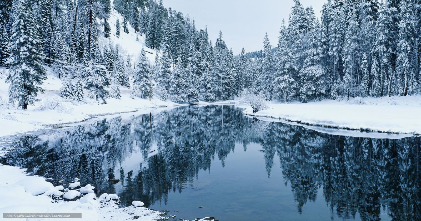 Snowy forest river reflection