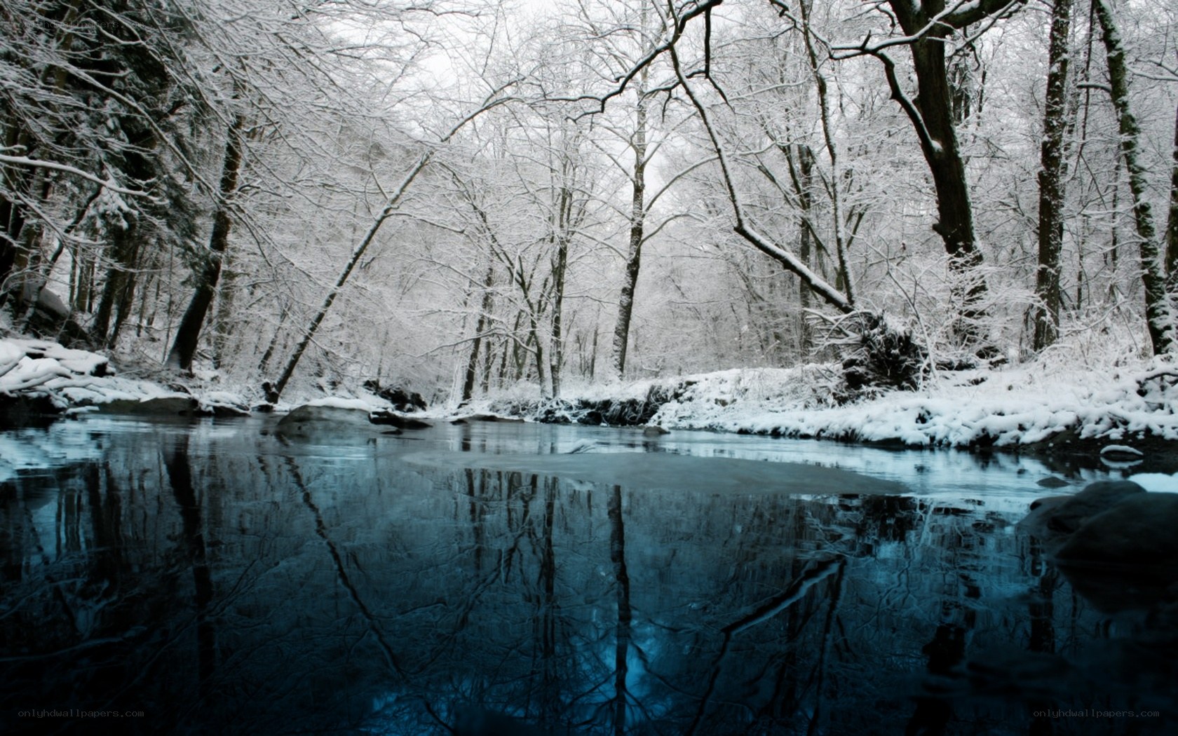 Snowy forest river reflection