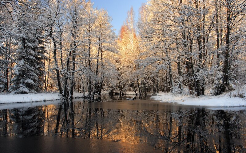 Snowy forest river reflection