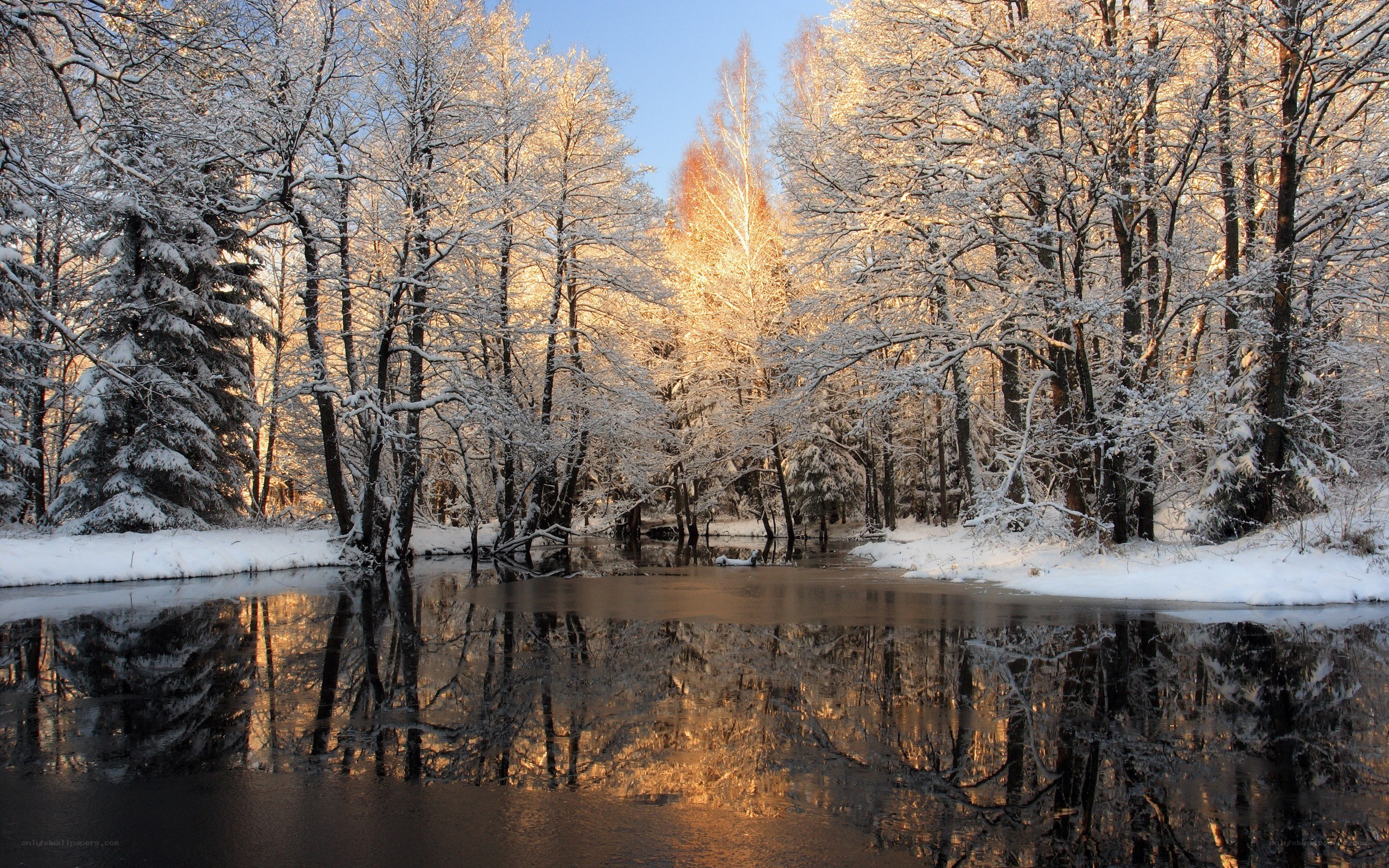 Snowy forest river reflection