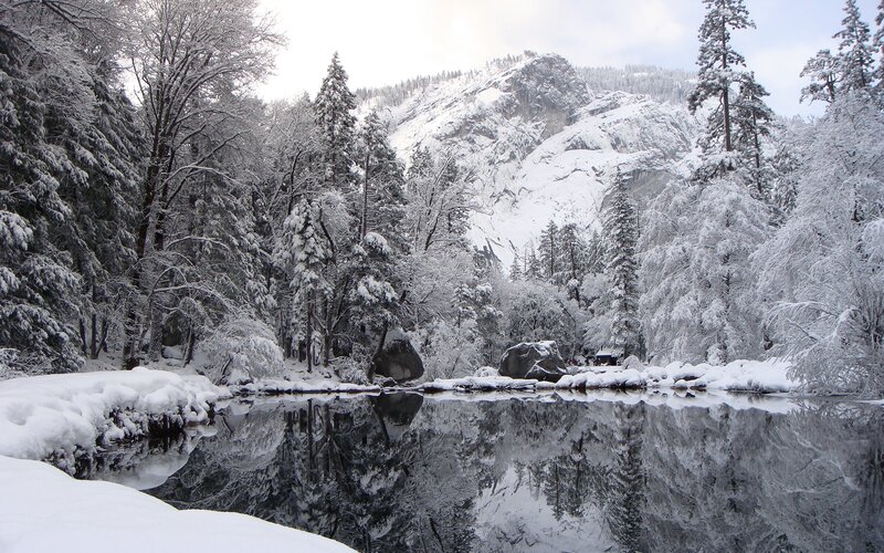 Snowy forest river reflection