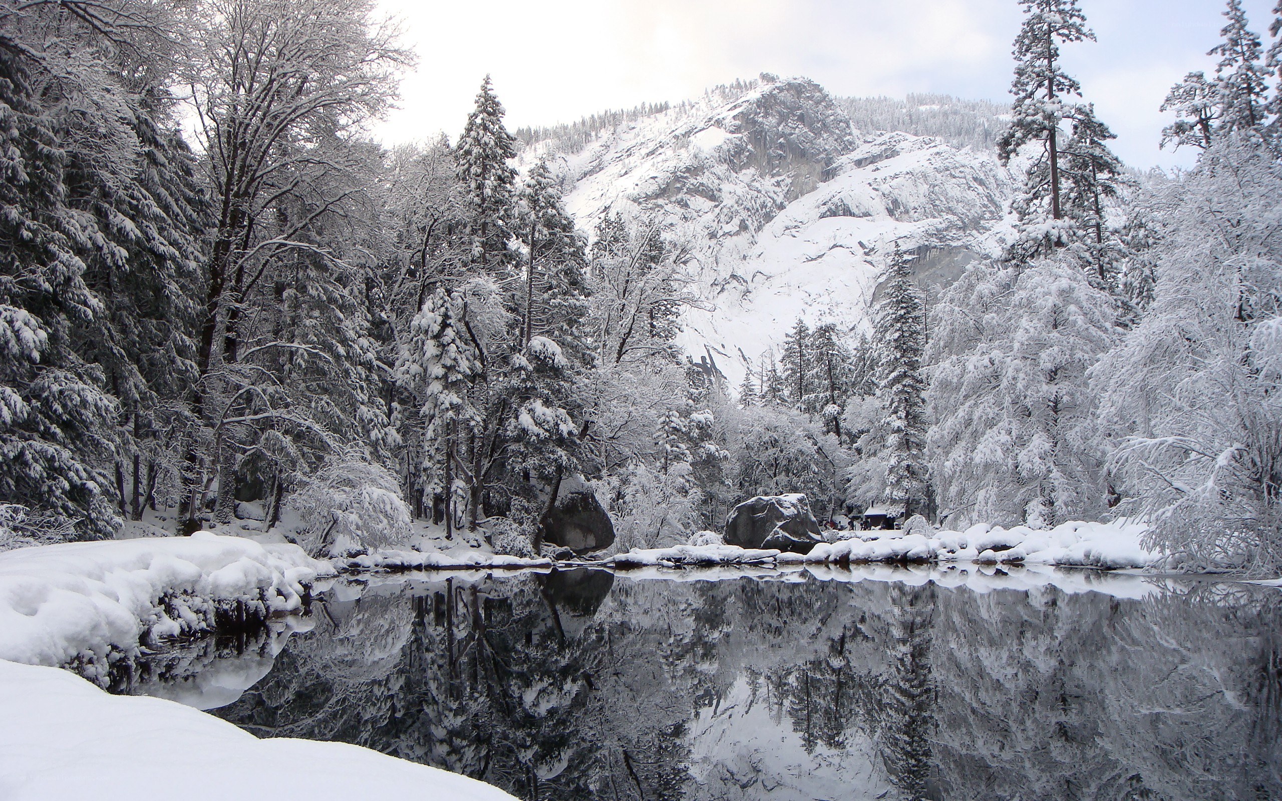 Snowy forest river reflection