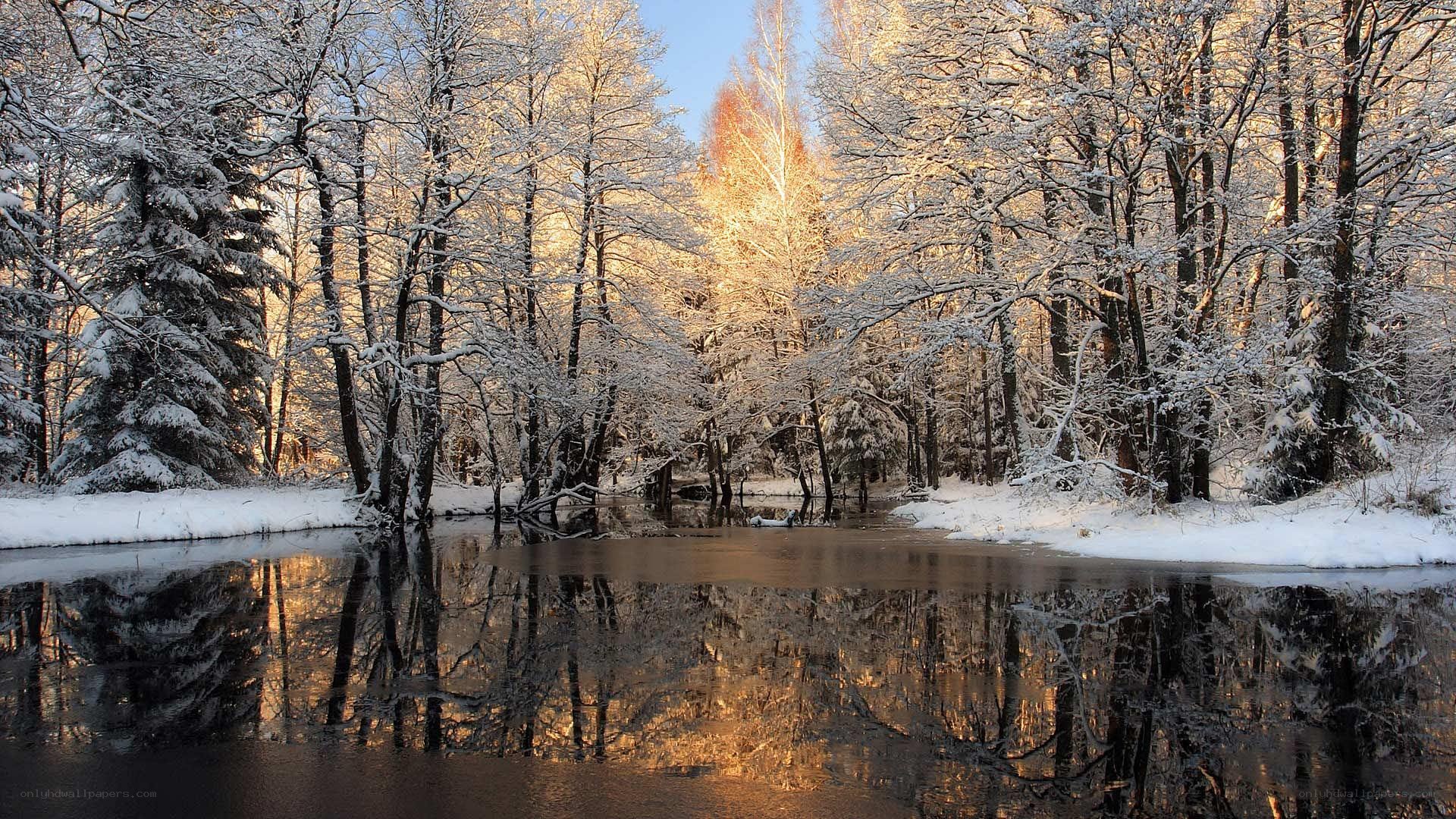 snowy forest river reflection