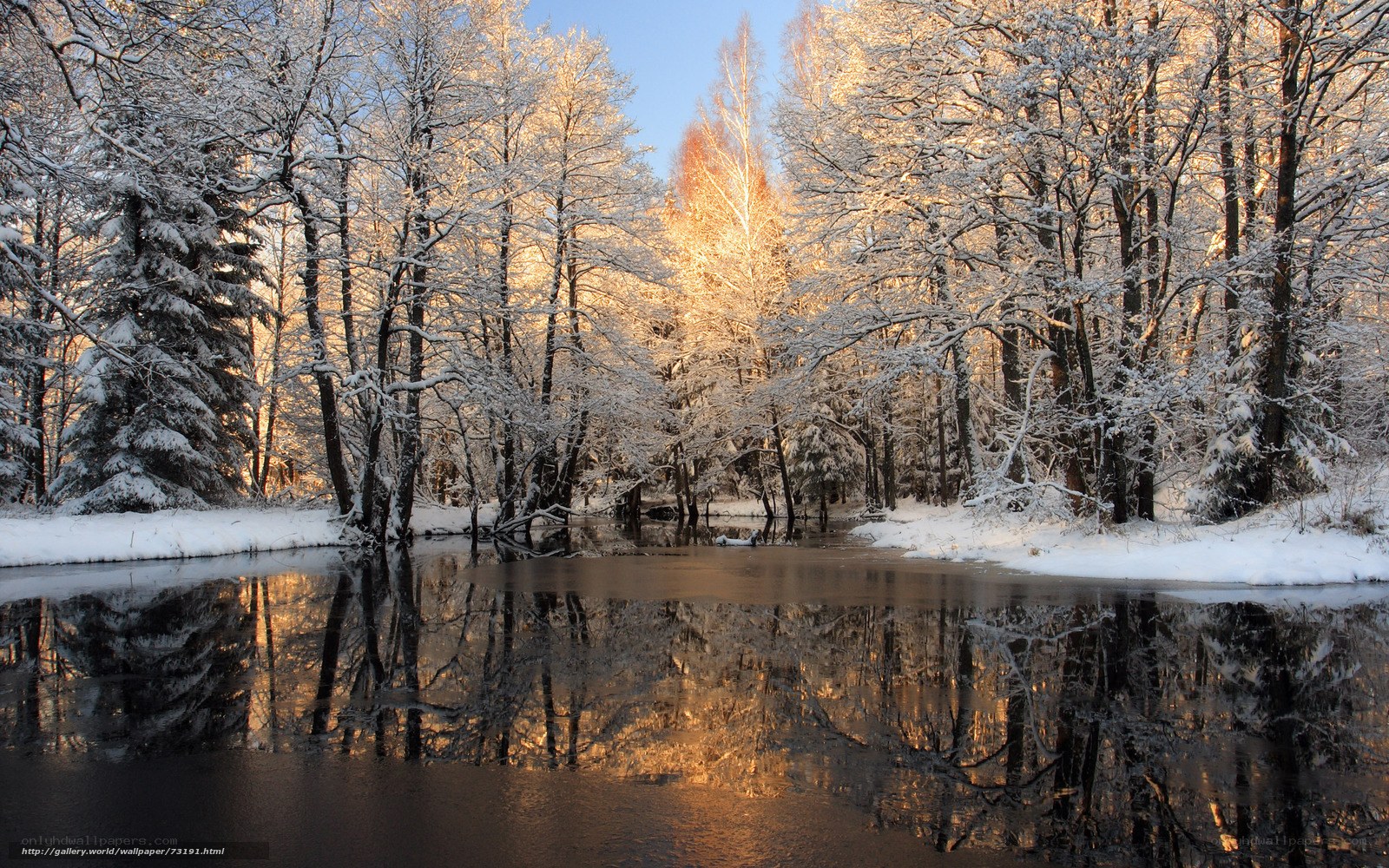 Snowy forest river reflection