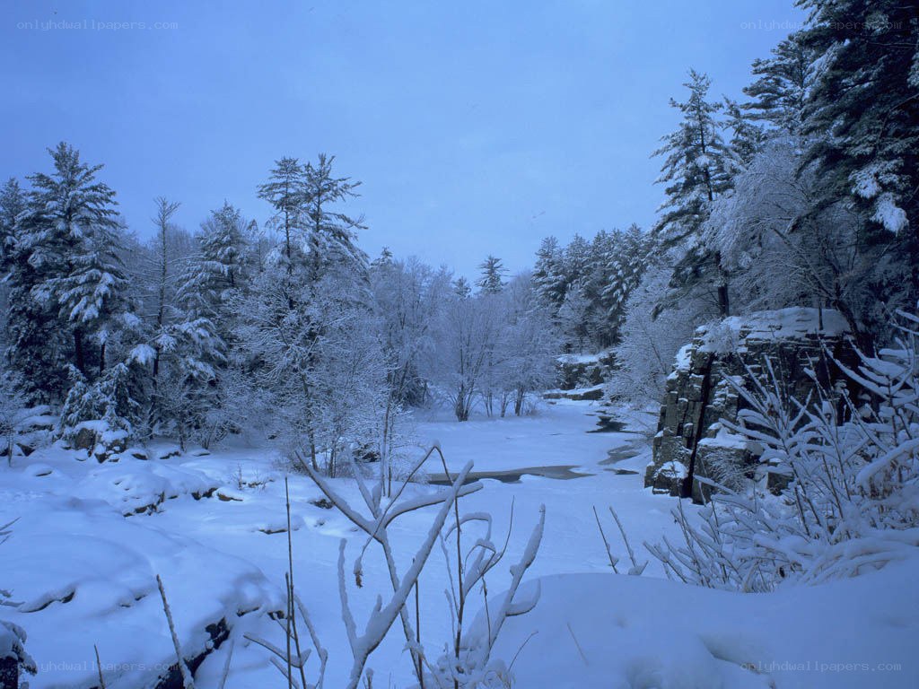 snowy forest river scene