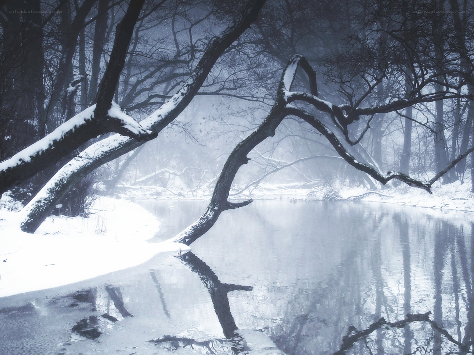 Snowy forest river scene