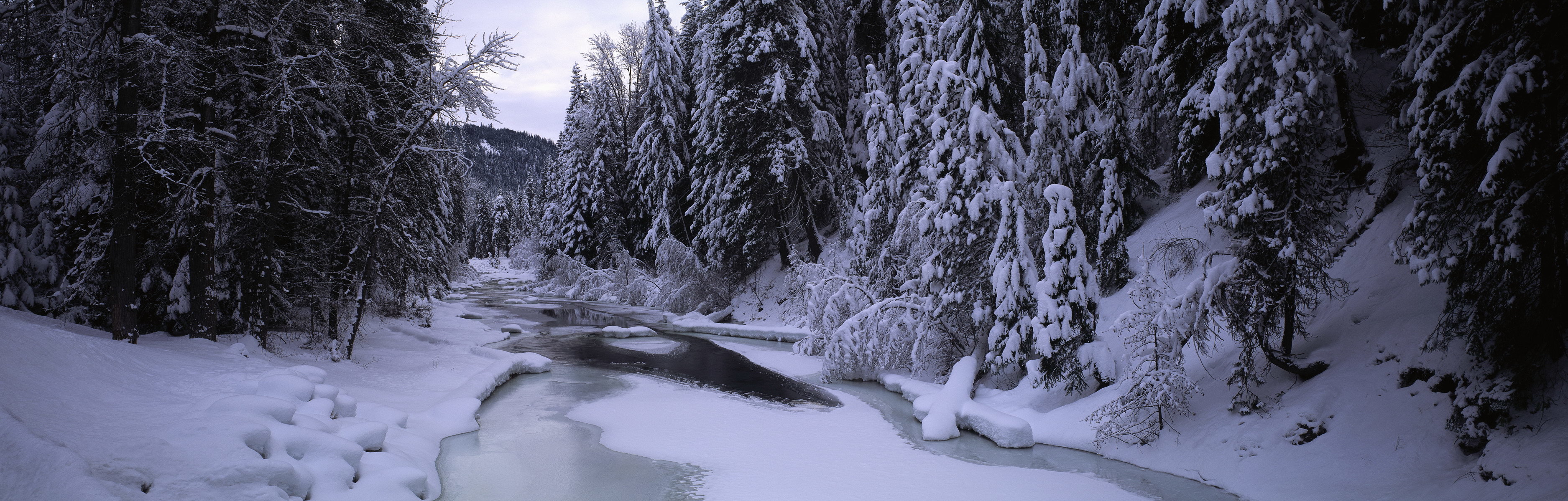 snowy forest river scene