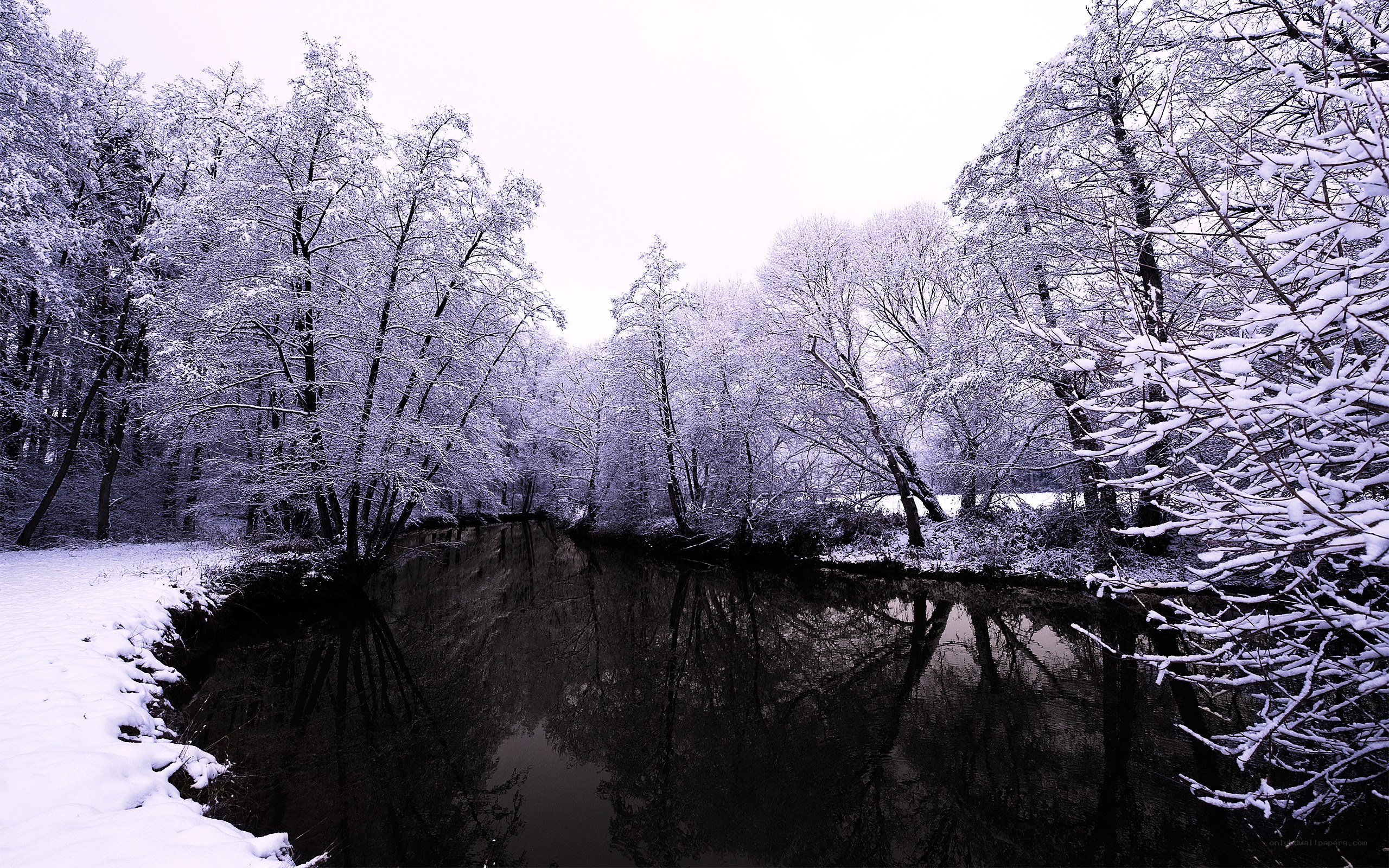 Snowy forest river scene