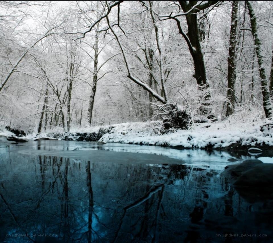 snowy forest river scene