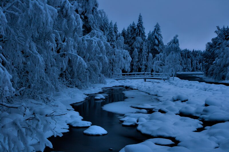 Snowy forest river scene