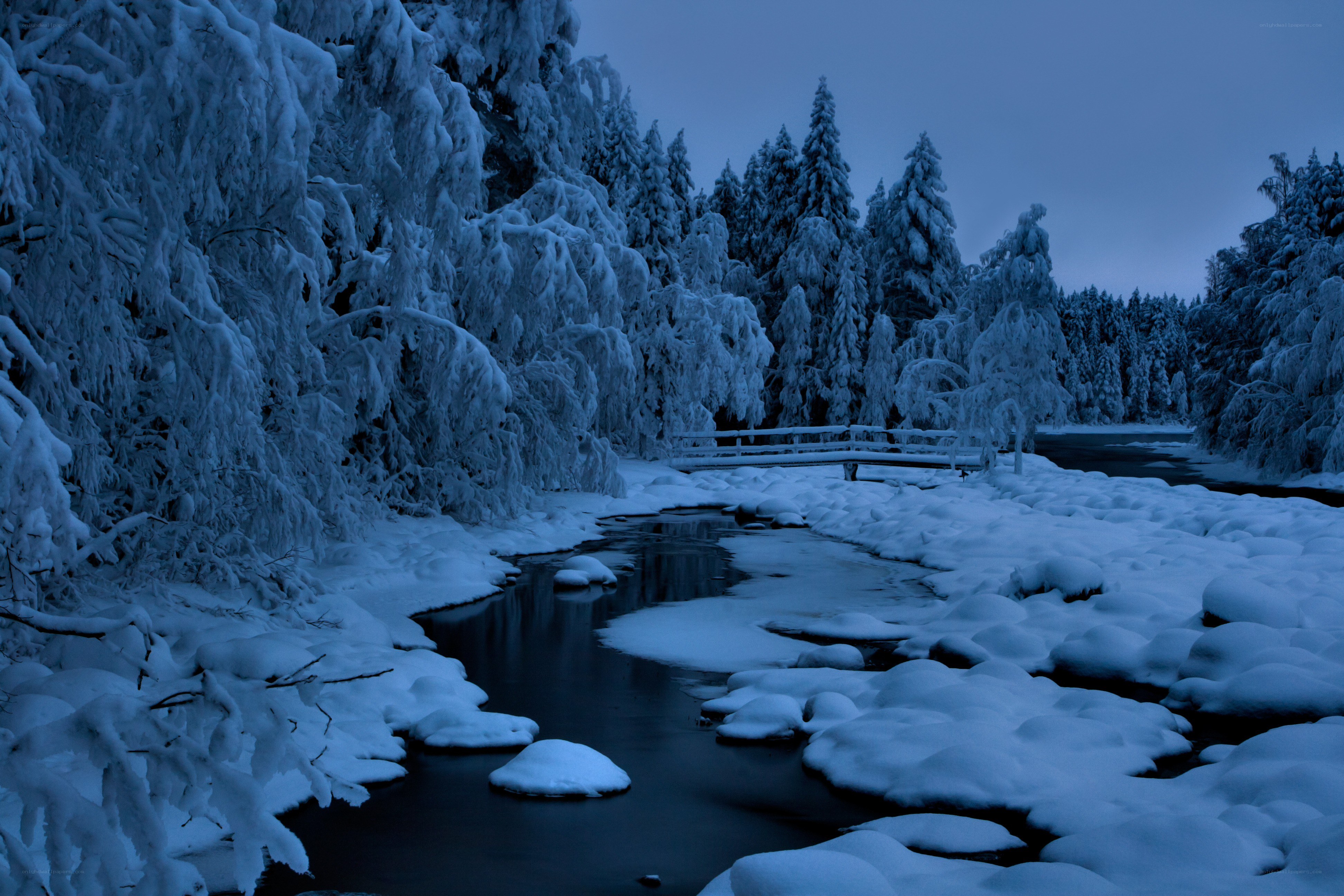 Snowy forest river scene