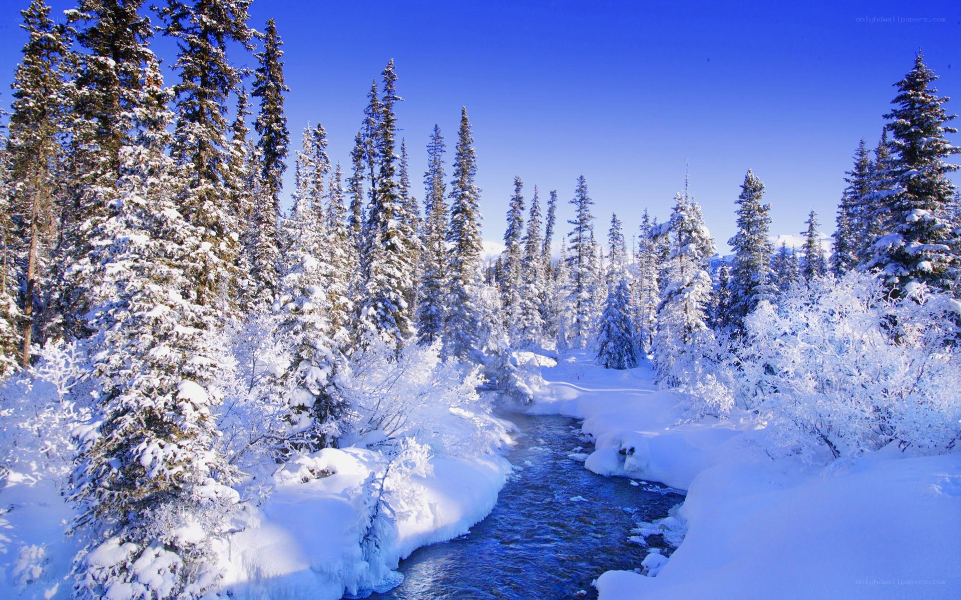 Snowy forest river scene
